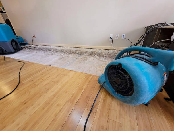 Professional Water Damage Repair technician working in Glenford, OH